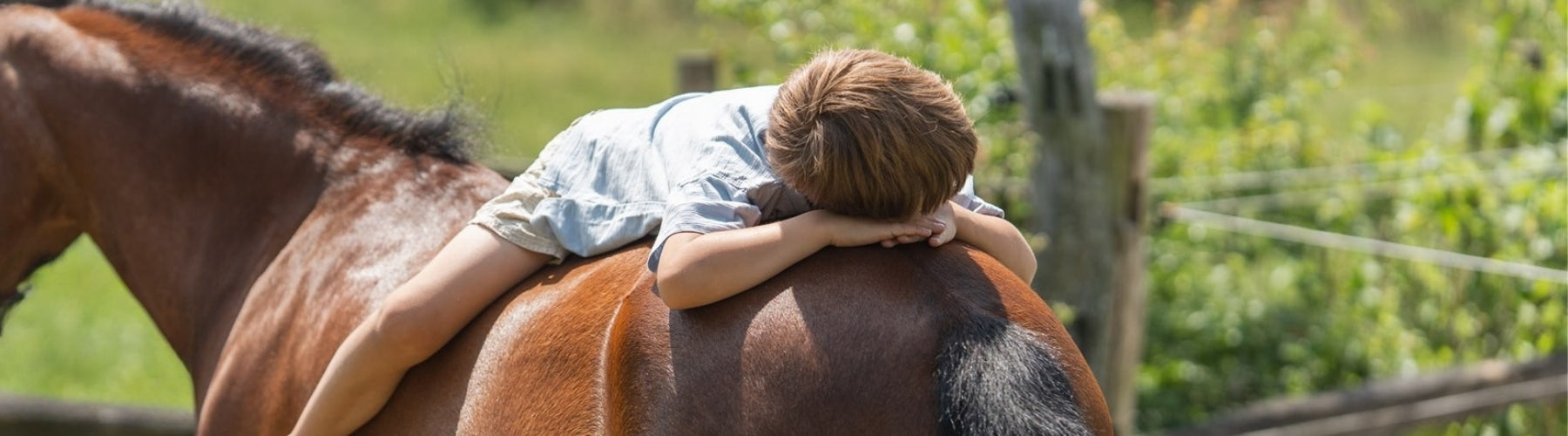 Knuffelen met paard. Hoe voorkom je zomereczeem
