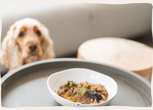 Topping pakket hond