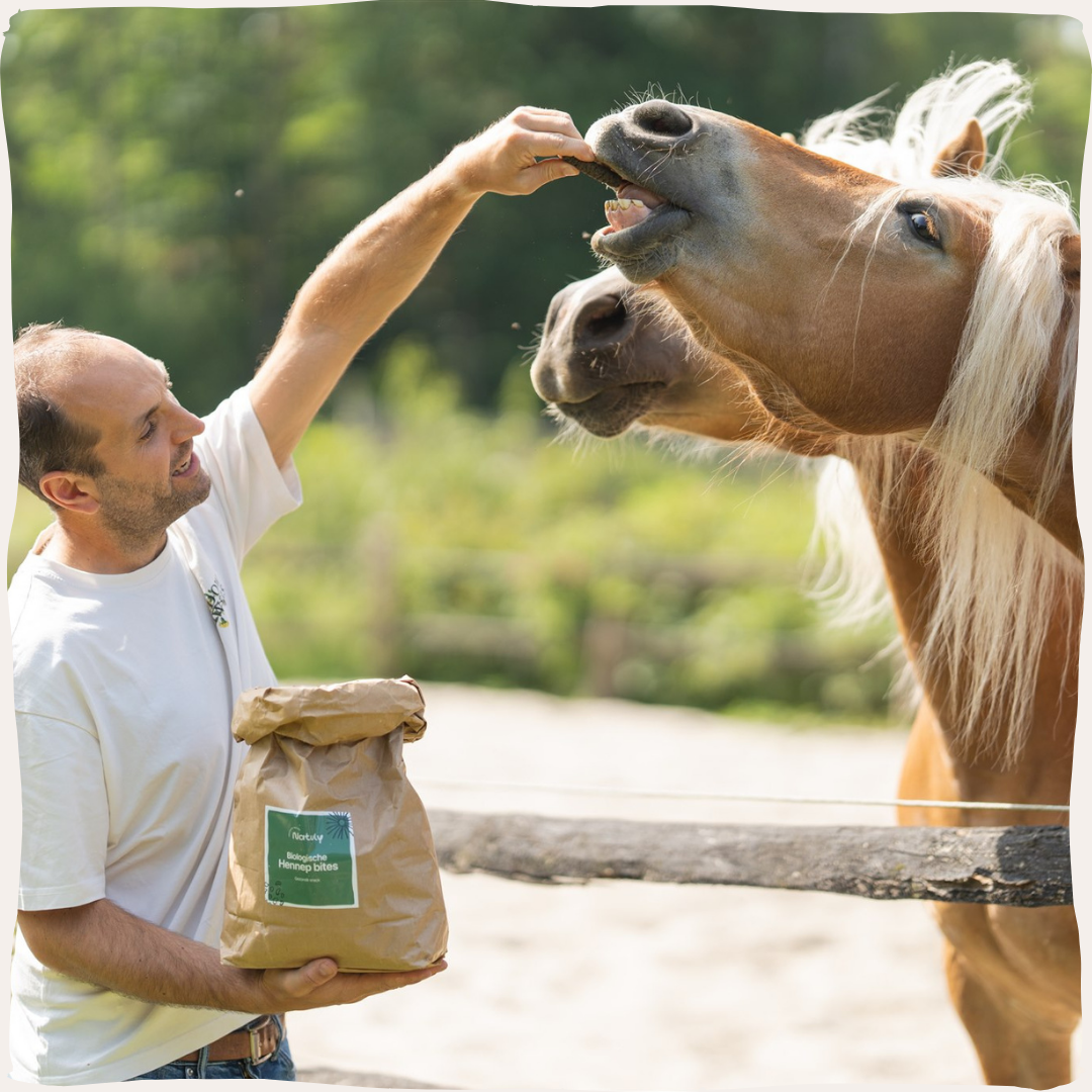 Hennep bites paard